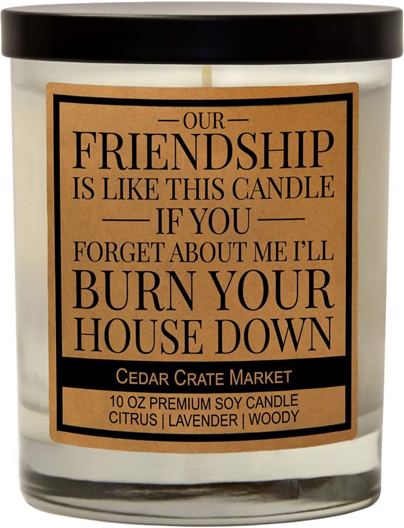 Home Décor |  Our Friendship Is Like This Candle, Best Friends Gift, Friendship Candle Gifts For, Funny Candles, Birthday Gifts For Friends Female, Funny Bestie Gifts For Bff, Coworker, Lavender Scented Home Décor Cedar Crate Market