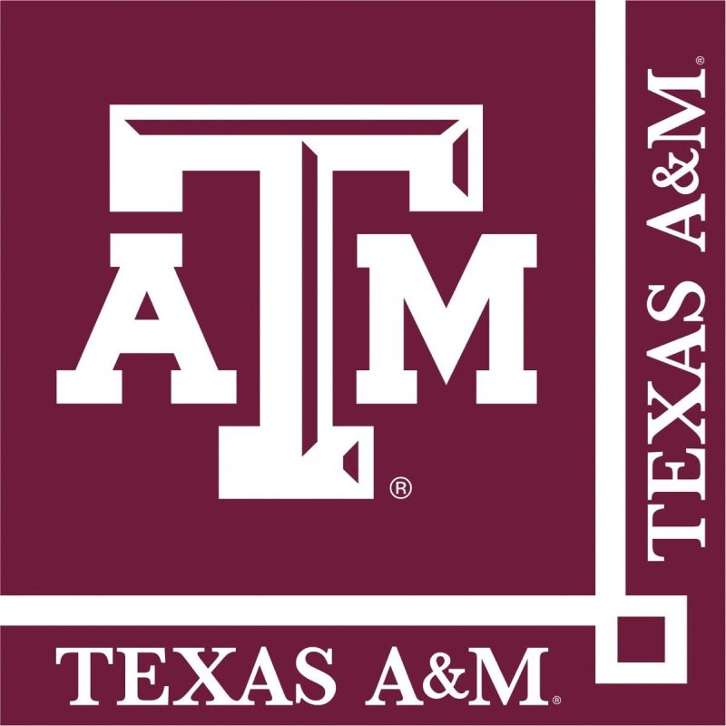 Kitchen & Dining |  Texas A&M Napkins Bar Tools & Drinkware Bar Tools & Drinkware