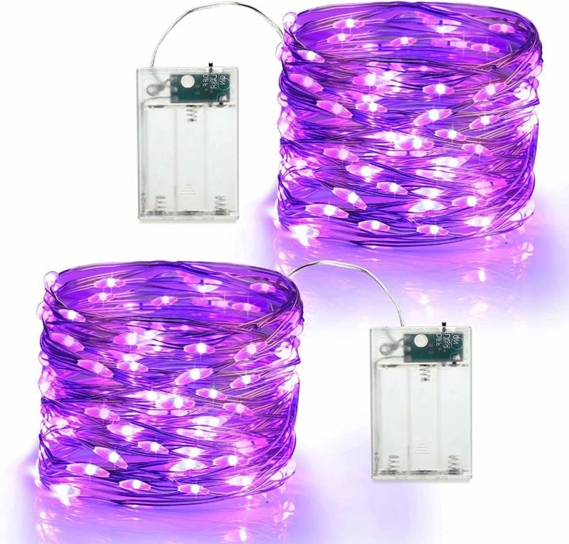 Seasonal Décor |  19.47Ft 60 Led Fairy Lights, 2 Modes Battery Lights, Indoor Silver Wire Purple Lights Home Decor & Cleaning BrizLabs