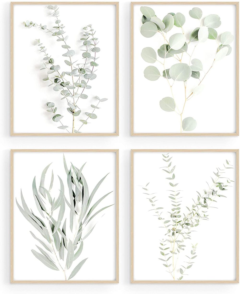 Wall Décor |  Haus And Hues Botanical Plant Wall Art Prints – Set Of 4 Plant Wall Decor Prints Floral Kitchen Flower Leaves Wall Art Boho Leaf Eucalyptus (Unframed) (11X14) Home Decor & Cleaning HAUS AND HUES