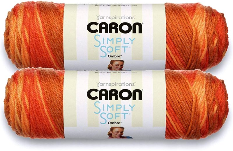 Yarn |  Caron Simply Soft Bulk Buy Paints 100% Acrylic Yarn (2-Pack) ~ 5 Oz. Skeins Arts, Crafts & Sewing Baby Brights #21015