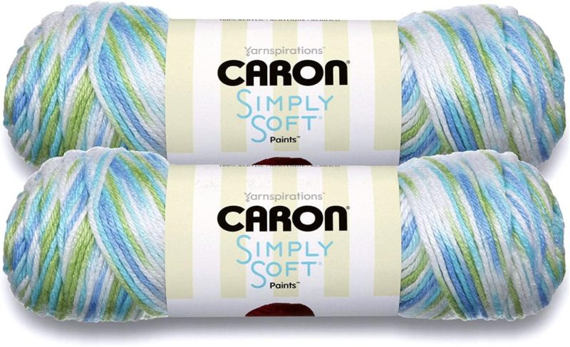 Yarn |  Caron Simply Soft Bulk Buy Paints 100% Acrylic Yarn (2-Pack) ~ 5 Oz. Skeins Arts, Crafts & Sewing Baby Brights #21015