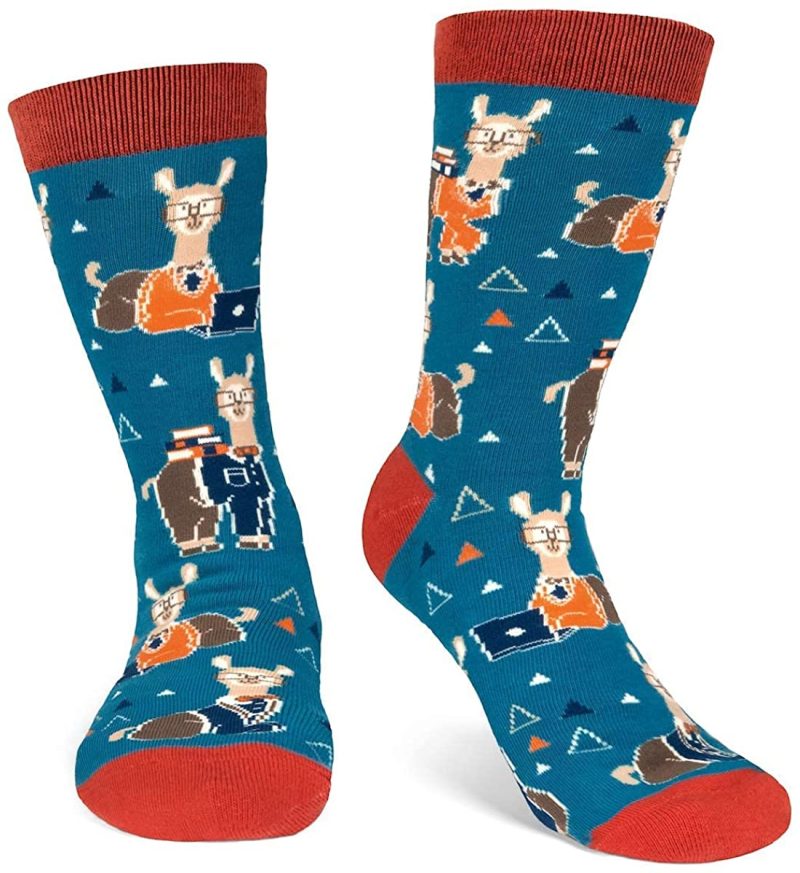 Education & Crafts |  Funny Nerd Socks – Gift For Teachers, Students, Book Lovers, Math, Science Geeks Education & Crafts Books